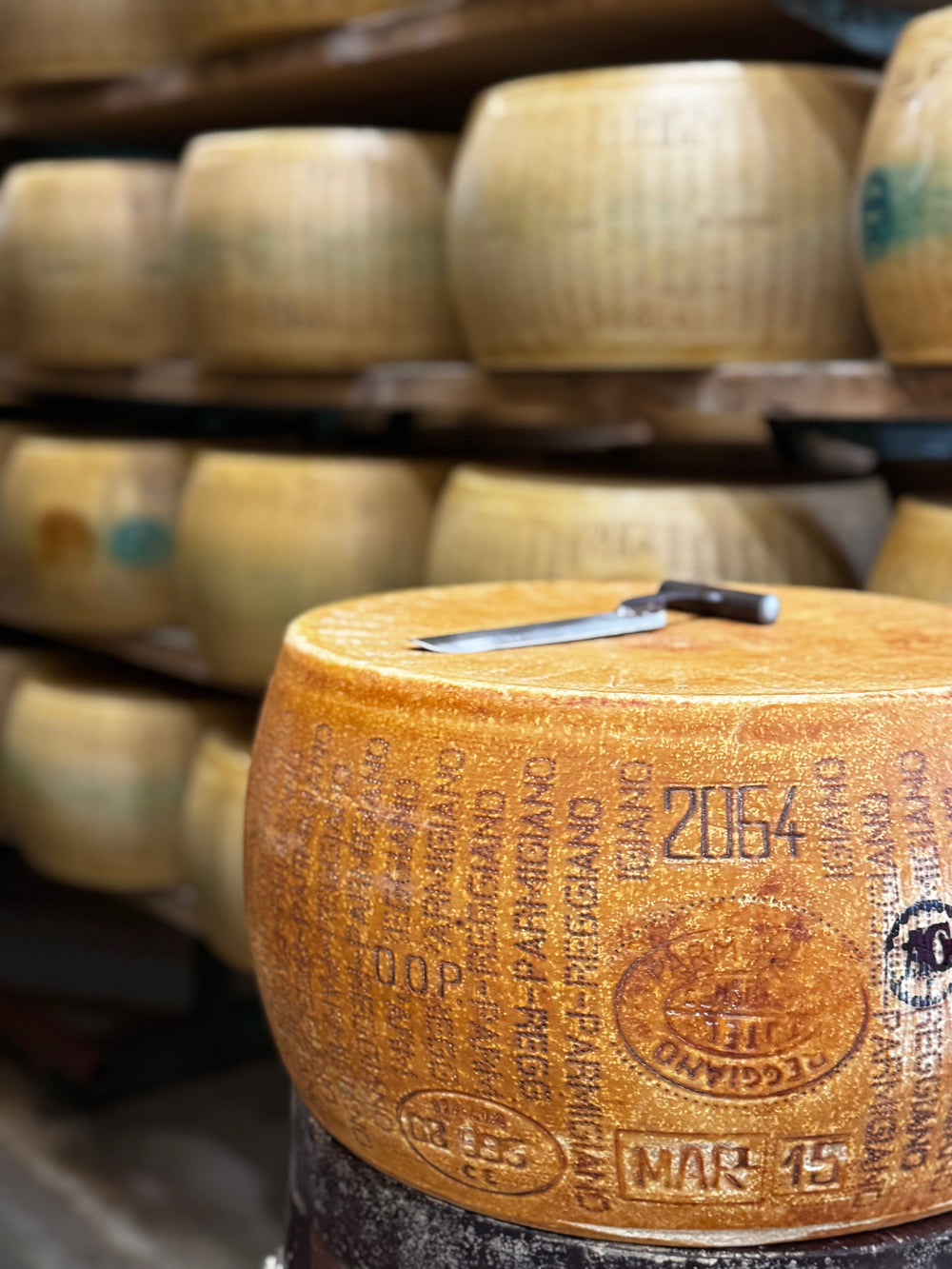 Parmigiano Reggiano von 2015, Saporitaly