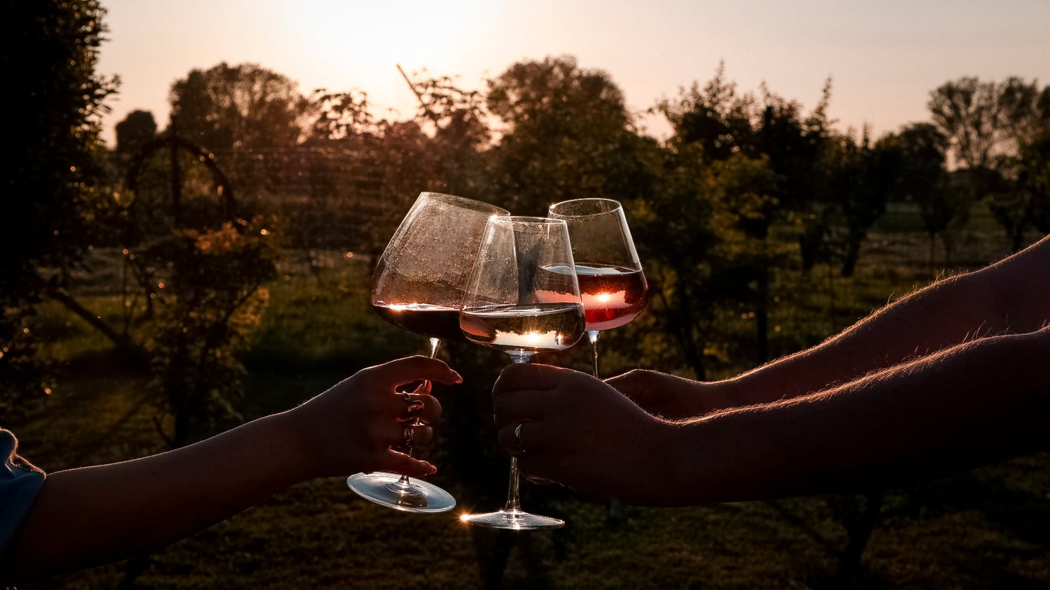 Wein